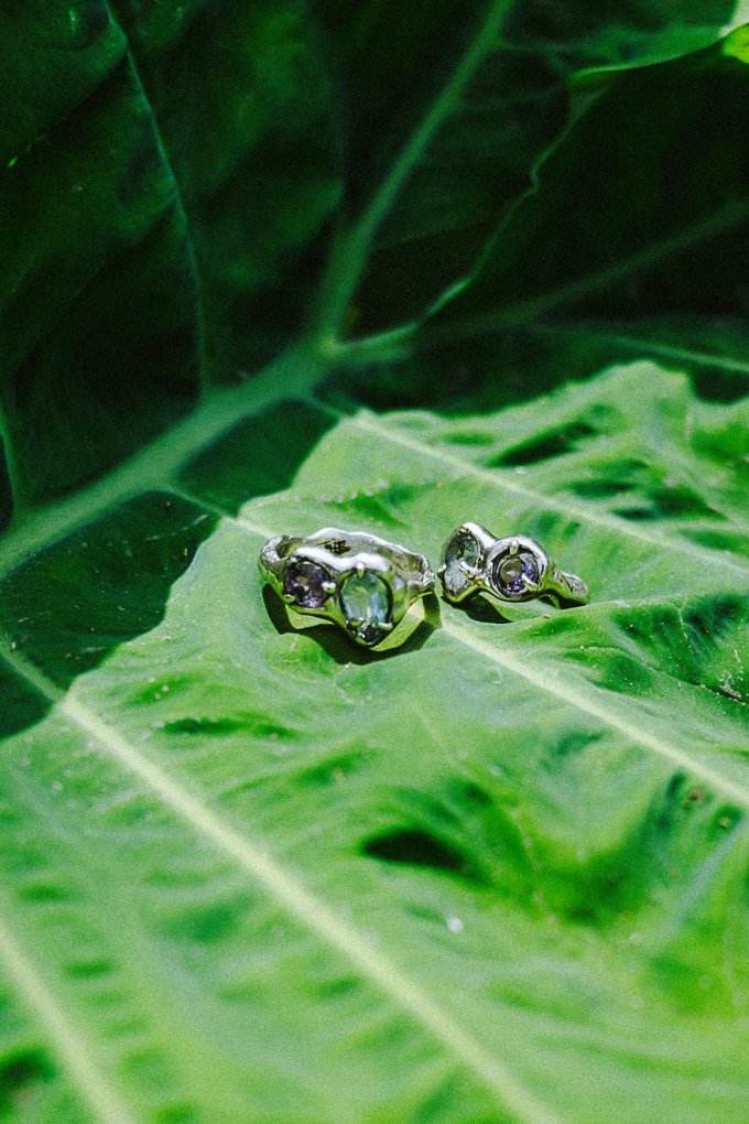 anillos de boda en plata sobre planta color verde