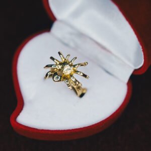 Anillo araña saltarina
